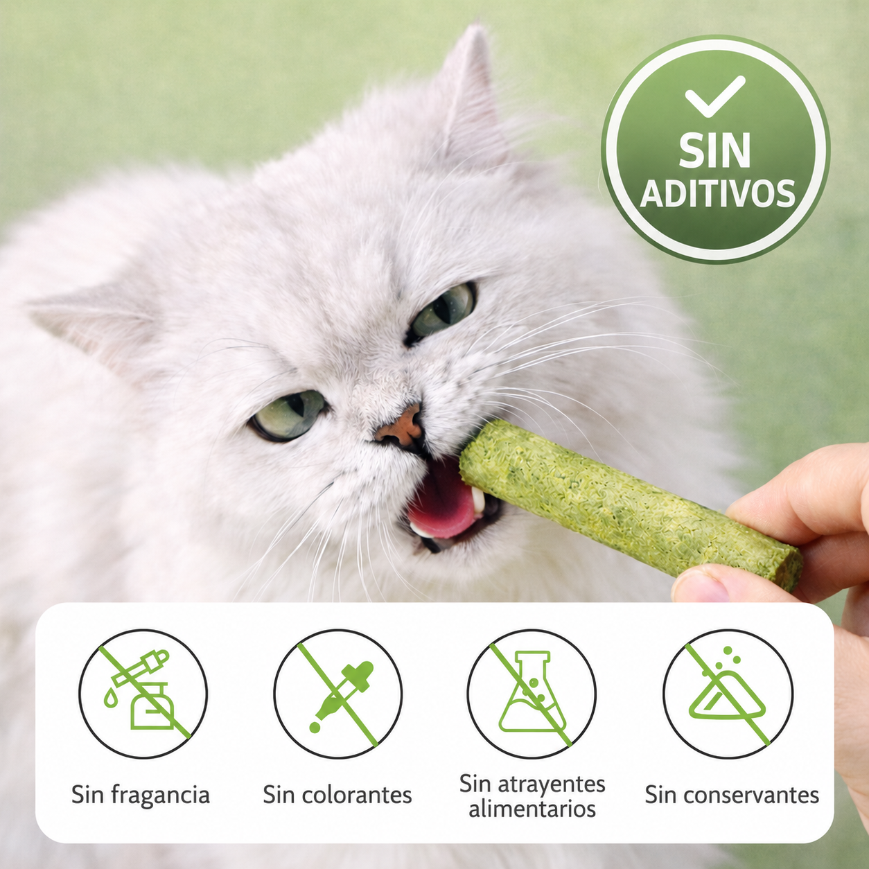 SNURA PET™ | CAT-GRASS
