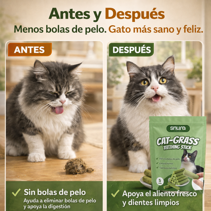 SNURA PET™ | CAT-GRASS